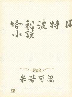哈利波特 同人小说