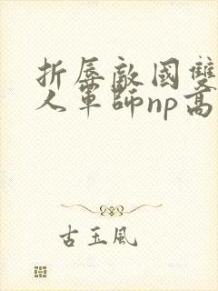 折辱敌国双性美人军师np高h