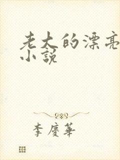 老大的漂亮笨蛋小说封面