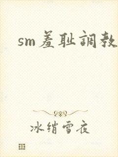 sm羞耻调教文