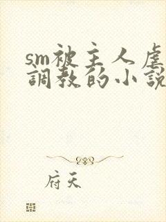 sm被主人虐玩调教的小说