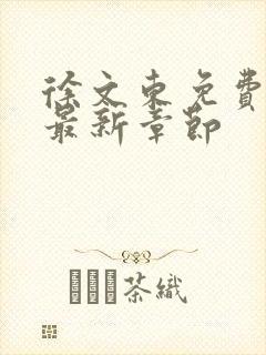 徐文东免费阅读最新章节封面