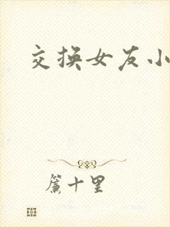 交换女友小说