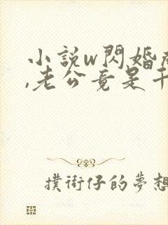 小说w闪婚成宠,老公竟是千亿大佬》
