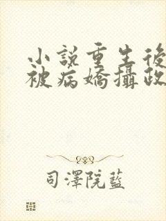 小说重生后,我被病娇摄政王缠上了txt下载