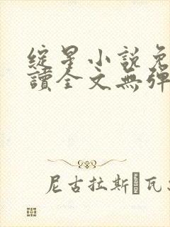 绽星小说免费阅读全文无弹窗