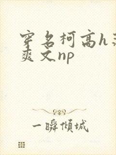 穿名柯高h荡肉爽文np