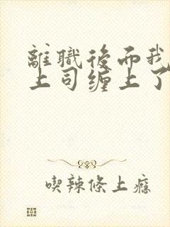 离职后面我被前上司缠上了