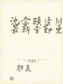 沈念顾清川小说最新章节更新内容分