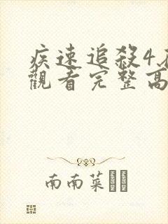 疾速追杀4在线观看完整高清封面