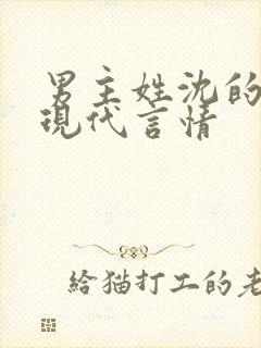男主姓沈的小说现代言情