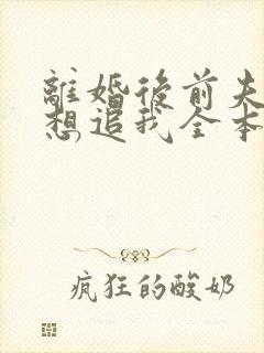 离婚后前夫总是想追我全本免费封面