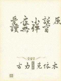 爱夜小说原文阅读无弹窗封面