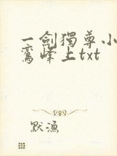 一剑独尊小说青鸾峰上txt