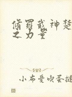 修罗武神楚枫神之力量