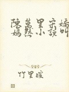陈万里宋娇娇唐嫣然小说叫什么名字