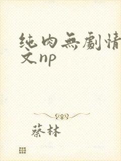 纯肉无剧情肉的文np