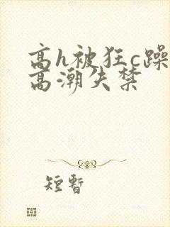 高h被狂c躁到高潮失禁