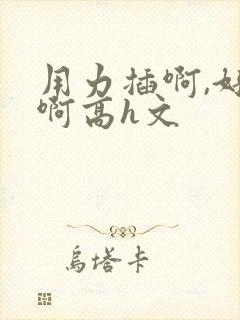 用力插啊,好爽啊高h文