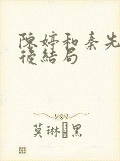 陈婷和秦先生最后结局封面