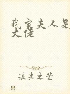 我家夫人是马甲大佬封面
