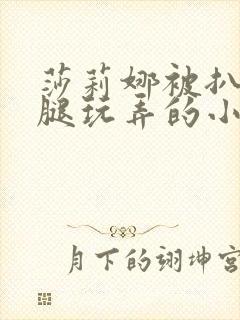 莎莉娜被扒开双腿玩弄的小说