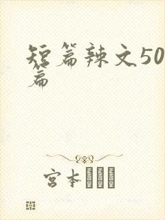 短篇辣文500篇
