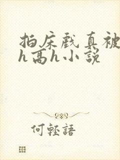 拍床戏真被强肉h高h小说封面