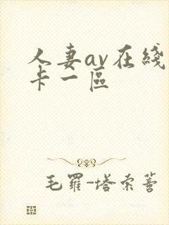 人妻av在线不卡一区