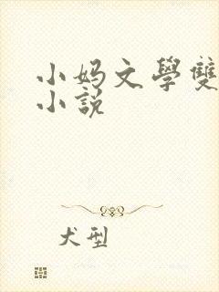 小妈文学双男主小说封面