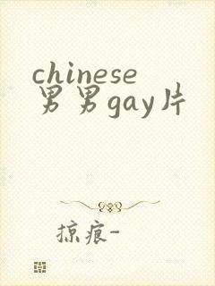 chinese男男gay片封面