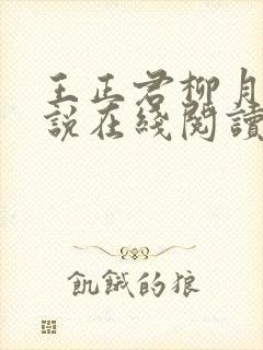 王正君柳月瑶小说在线阅读全文