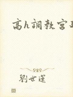 高h调教宫廷封面