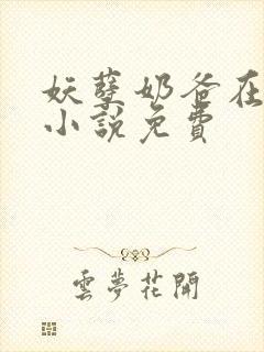妖孽奶爸在都市小说免费封面
