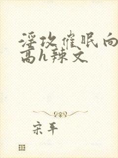 淫攻催眠向np高h辣文