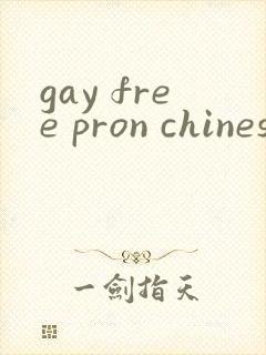 gay free pron chinese
