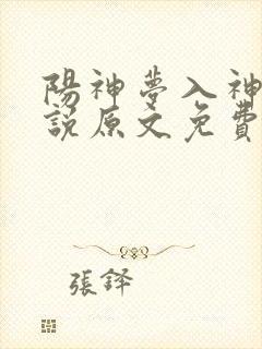 阳神梦入神机小说原文免费阅读封面