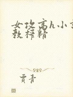 女攻高h小说调教榨精封面