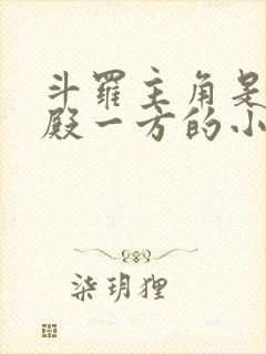 斗罗主角是武魂殿一方的小说