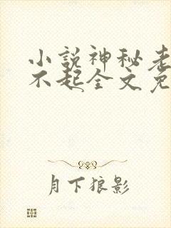小说神秘老公惹不起全文免费阅读