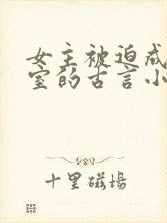 女主被迫成为妾室的古言小说