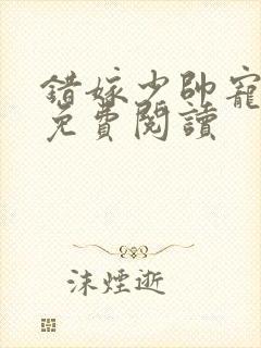 错嫁少帅宠上瘾免费阅读