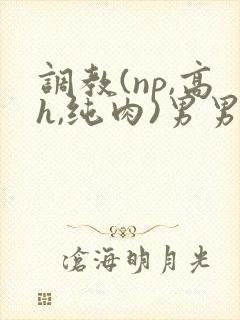 调教(np,高h,纯肉)男男