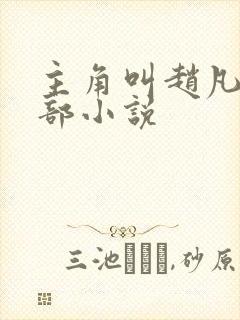 主角叫赵凡是哪部小说封面