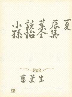 小说叶辰夏若雪孙怡全集