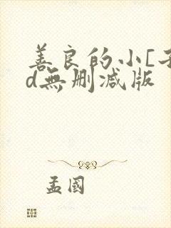 善良的小[子hd无删减版封面