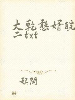 大乾憨婿皖南牛二txt