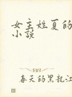 女主姓夏的现代小说