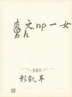 爽文np一女多男h