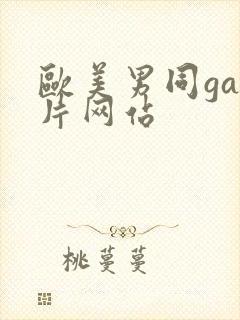 欧美男同gay片网站